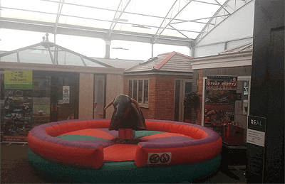 rode bull hire swansea